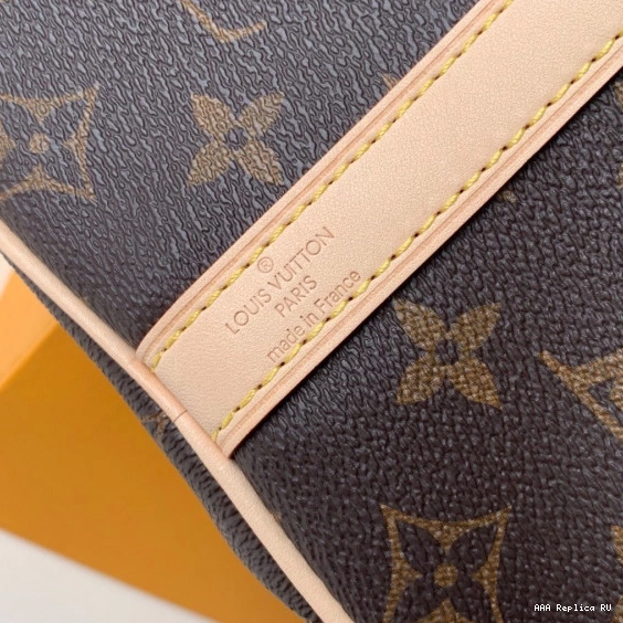 Aaa replica bags Louis SPEEDY Vuitton 25 BANDOULIERE 0821